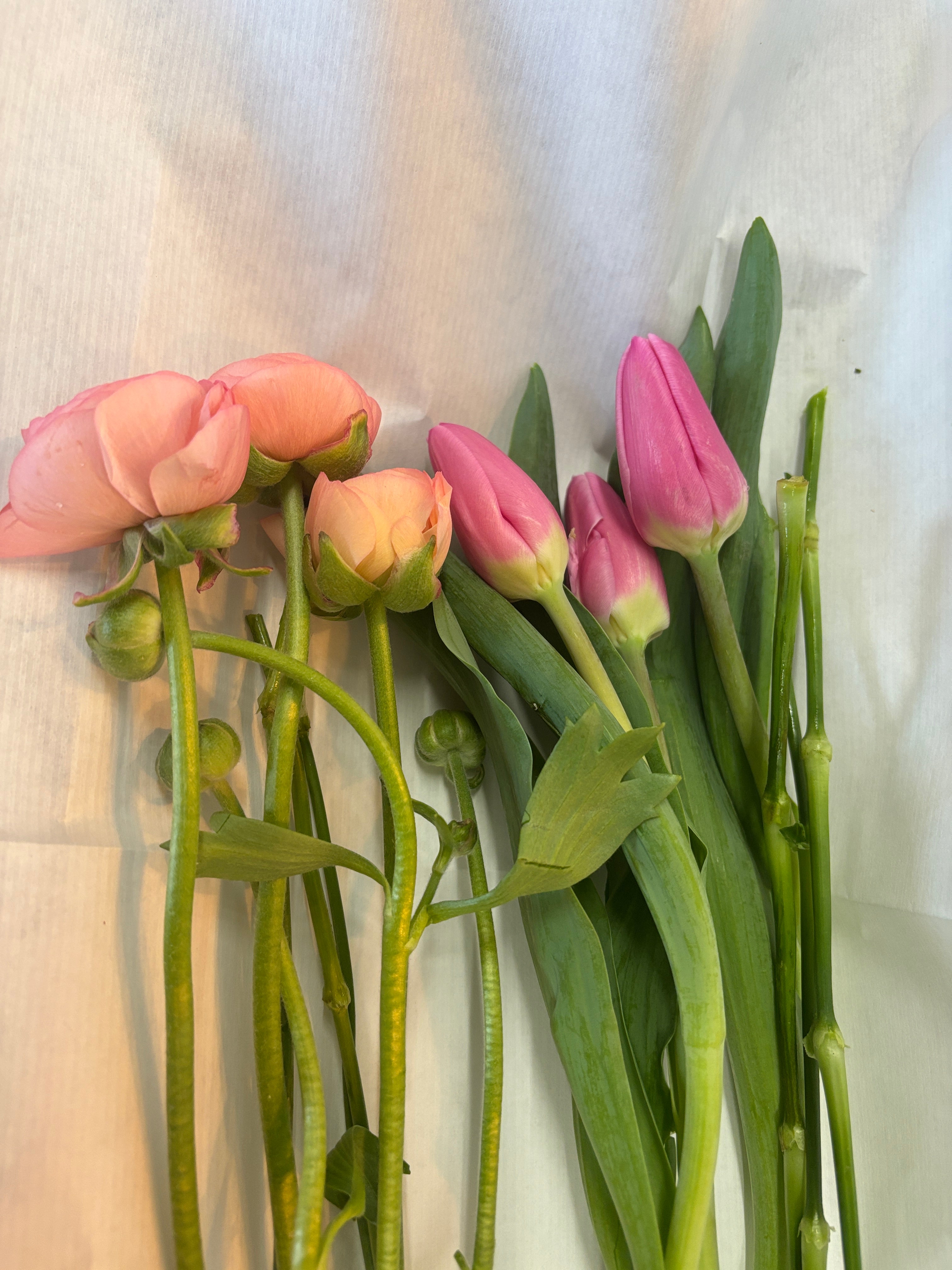 Spring Simple Stems