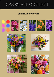 Bright and Vibrant