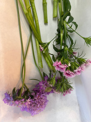 Spring Simple Stems