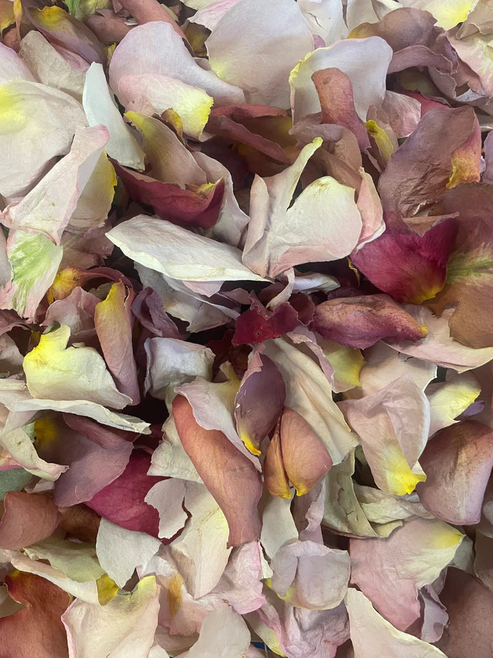 Boho large Rose Petal Confetti