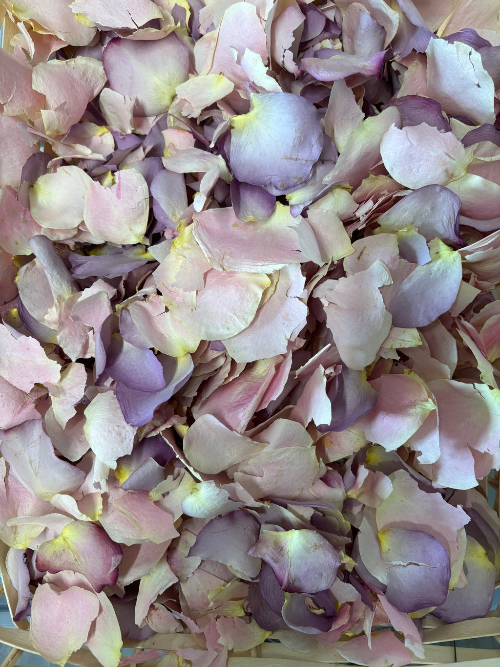 Dried Pastel Rose Petal - Confetti