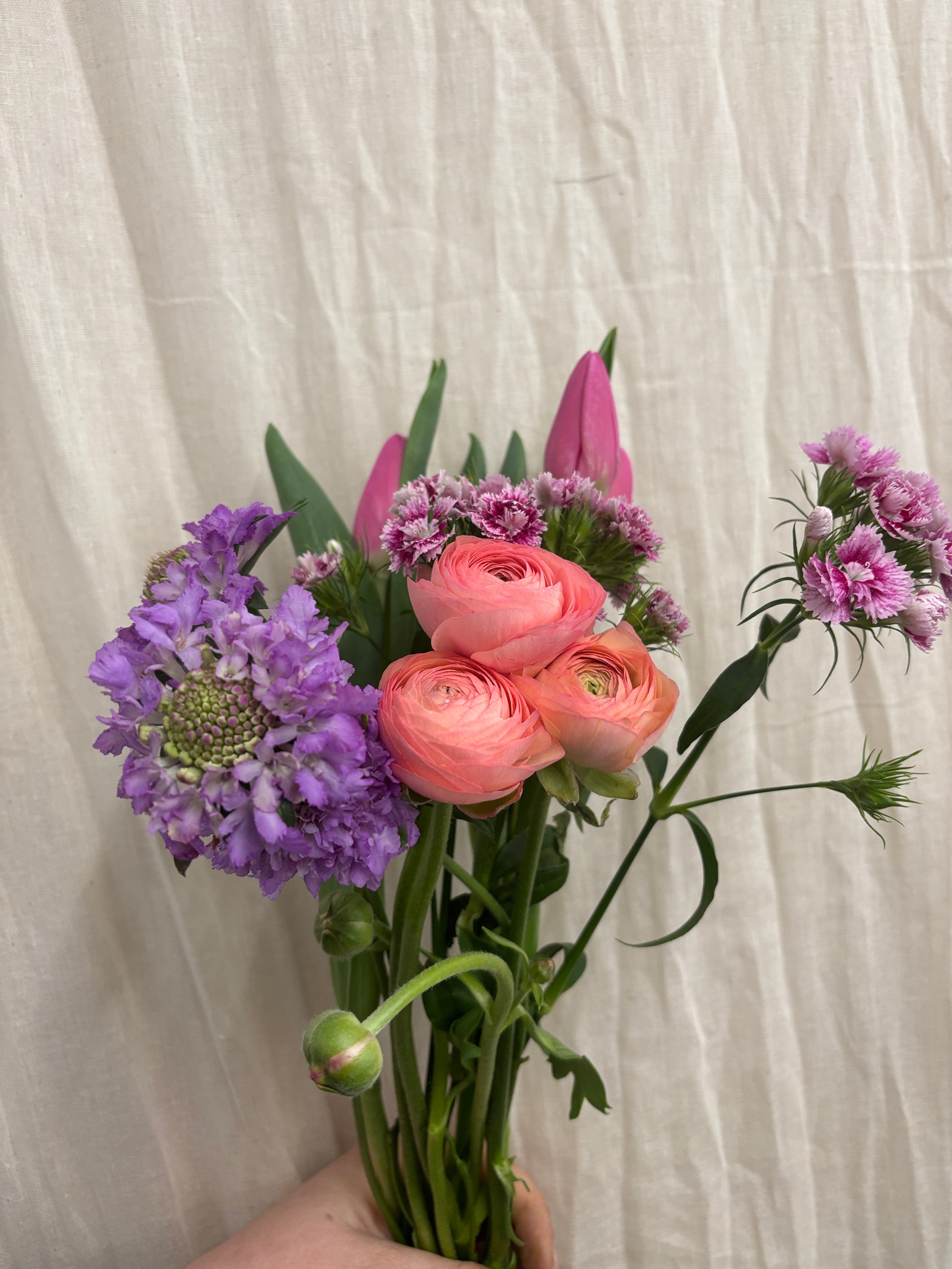 Spring Simple Stems