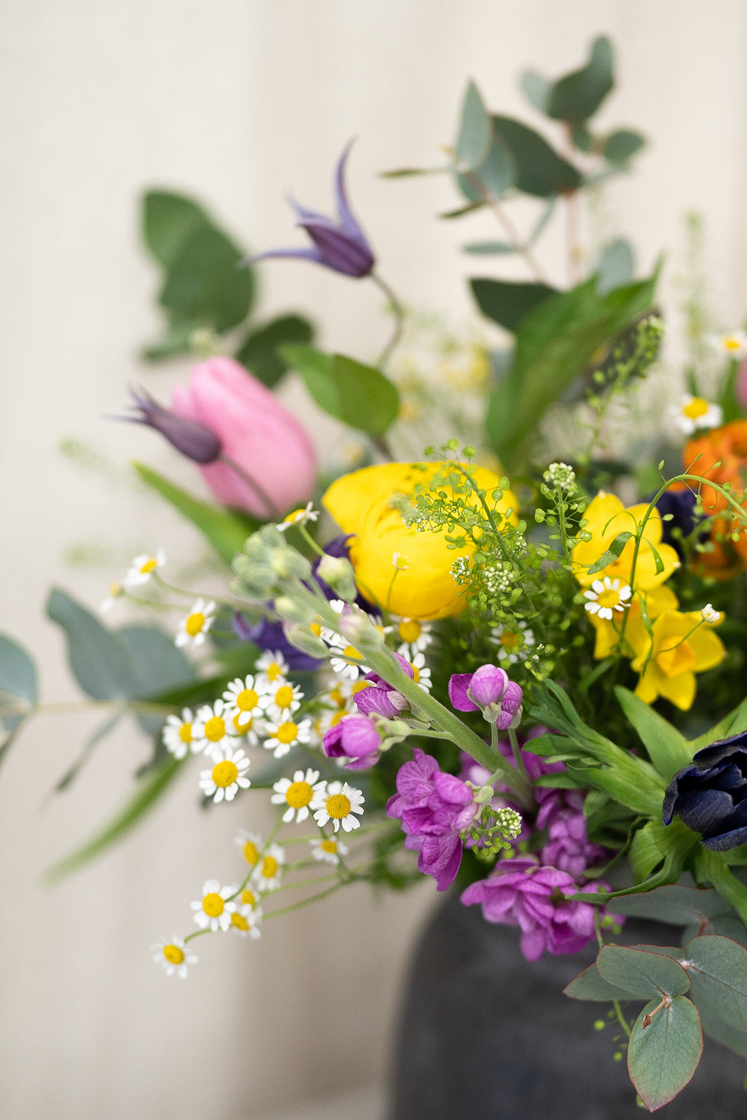 Spring HT