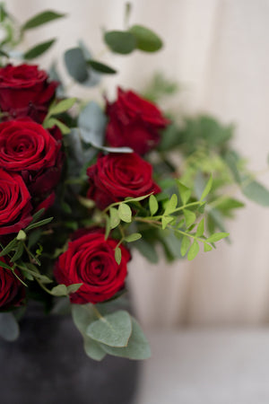 Dozen Red Roses
