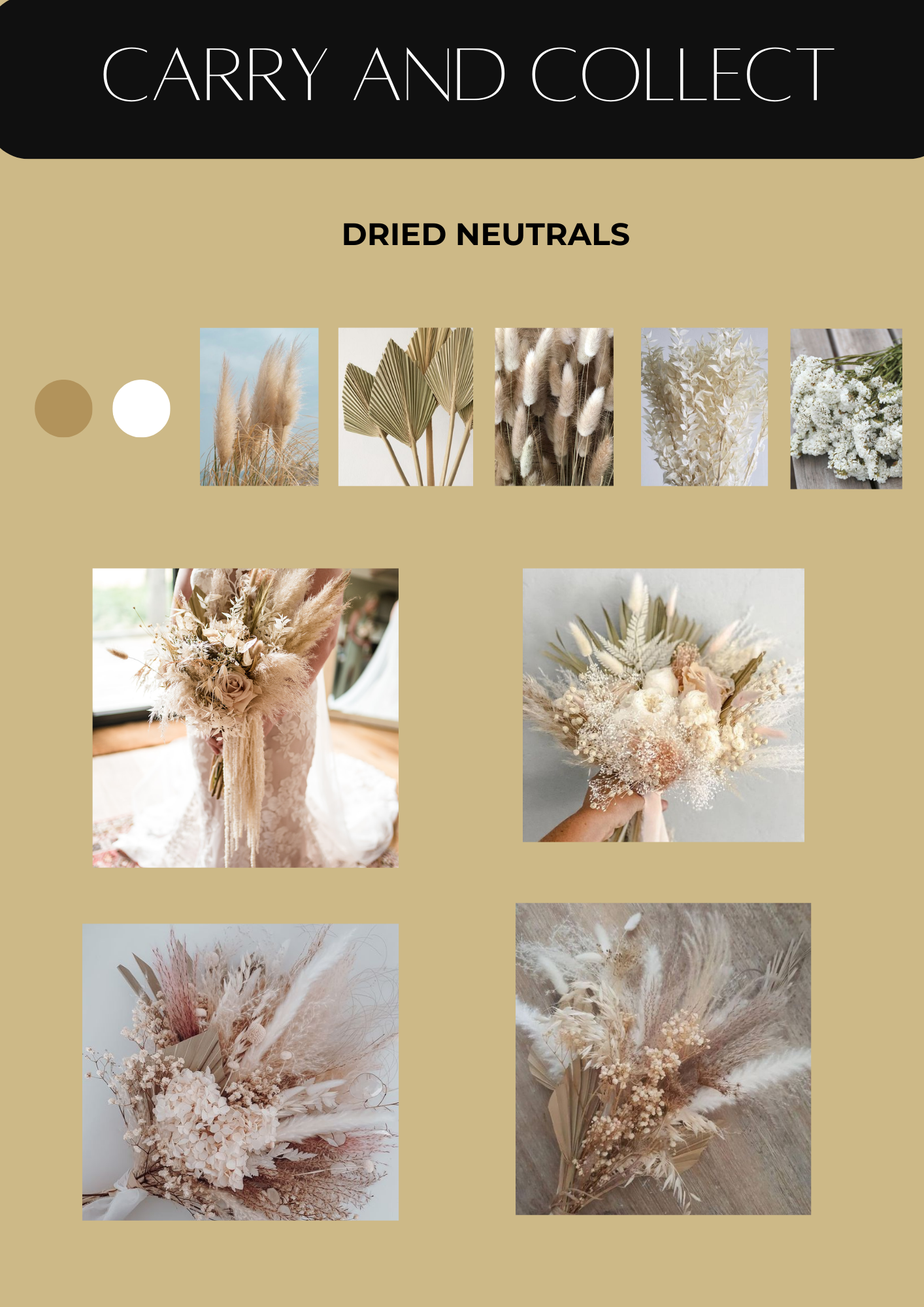 Dried and Neutrals