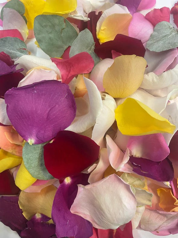 Bright large Rose Petal Confetti