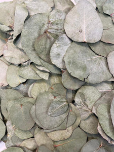 Eucalyptus  Confetti
