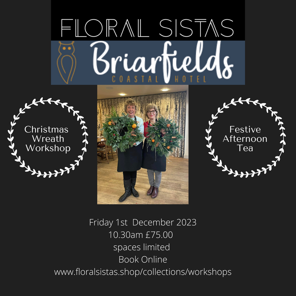 Friday 1st Dec- 10.30am Briarfields