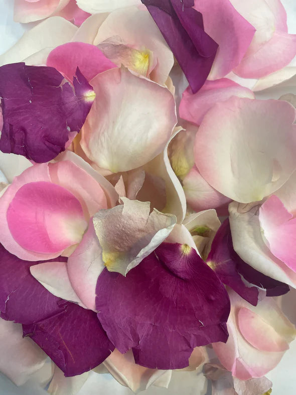 Mixed Pink Rose Petal Confetti