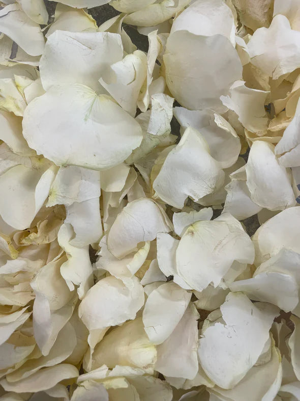 White large Rose Petal Confetti