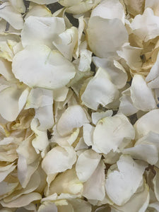 White large Rose Petal Confetti